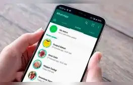 WhatsApp: ¿cómo ver los estados de cualquier persona de forma anónima? Nunca sabrá que los viste