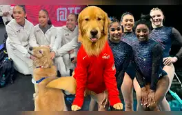 Conoce a Beacon, el perro Golden Retriever viral, que acompaña a Simone Biles y USA en los JJ. OO. París 2024