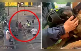 Maltrato animal: Sujetos atacan con piedra a integrante de la unidad canina de La Molina