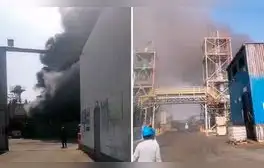 Incendio de gran magnitud en almacén de Lurín: municipio clausura local tras fallo de maquinaria