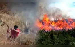 Incendio forestal en Huánuco arrasa más de 150 hectáreas de bosques y afecta a menor