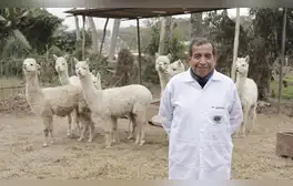 Genética molecular para mejorar la fibra de alpaca
