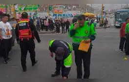 Tragedia en Comas: anciana fallece luego de ser atropellada por bus en la entrada de Collique