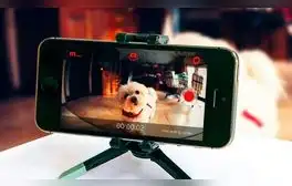 ¿Tienes un celular viejo? Así podrás convertirlo en una cámara de vigilancia para tus mascotas