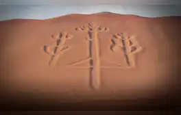 Dañan las Líneas de Nazca: sujetos caminaron sobre el Candelabro de Paracas, declarado Patrimonio Cultural
