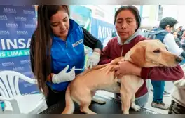 ‘VanCan 2024': Minsa alista campaña de vacunación contra la rabia a más de 3 millones perros a nivel nacional