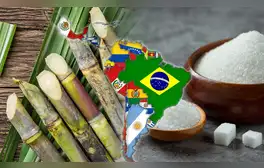 El país de América Latina que consume más azúcar en la región y se ubica dentro del top 5 en el mundo