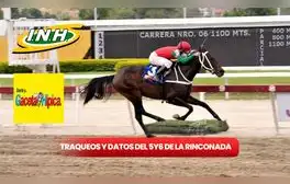 Traqueos y datos 5y6 La Rinconada HOY, 11 de agosto: así quedaron los pronósticos de Gaceta Hípica y Cordialito