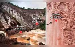 El tesoro de la selva peruana que data desde hace 200 millones de años: se utiliza en el tacacho y la cecina