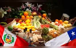 Perú superaría a Chile en exportación agrícola en 2027: estos son los productos más solicitados