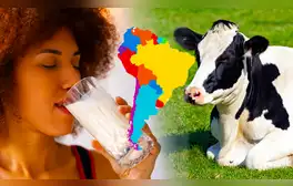 Descubre el país de América Latina que consume más leche de vaca en la región y se ubica en el top 5 del mundo