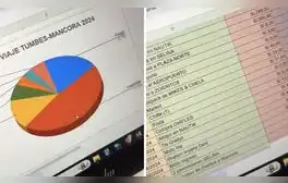 Peruana es viral tras contabilizar sus gastos en Excel hasta el mínimo detalle: “Te hace eficiente”