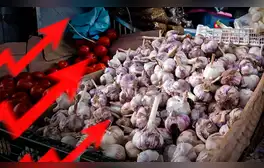 Sube precio del ajo en el Perú: ¿cuánto cuesta el kilo en Lima y regiones?