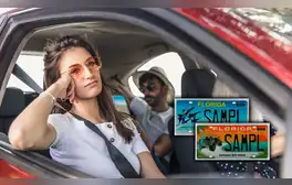 Licencia de conducir en Florida: estas son las multas y sanciones por conducir con placas personalizadas en Estados Unidos