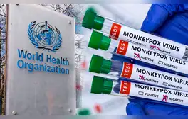 Organización Mundial de la Salud confirma emergencia sanitaria por expansión de mpox