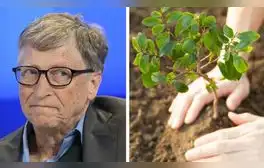 Bill Gates no cree que plantar árboles solucione el cambio climático: "Es un completo sinsentido"