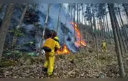 Senamhi advierte riesgo de incendios forestales en Cusco, Puno, Arequipa y otras 10 regiones hasta el 19 de agosto