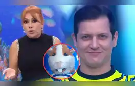 Magaly Medina ridiculiza a Gino Pesaressi tras su regreso a ‘Esto es guerra’ y lo compara: "Más simpatía tenía el cuy"