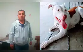 Policía asesina a balazos a perrita delante de su dueña adolescente en Lambayeque