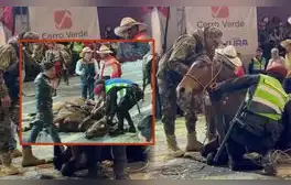 Caballo conmueve en Corso de la Amistad de Arequipa debido a que se resistía a pararse por cansancio