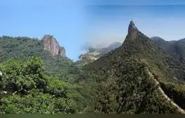 América Latina tiene el país con el bosque urbano más grande del mundo: alberga una de las 7 nuevas maravillas