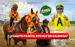 ¿Cuánto pagó el 5y6 HOY, 17 de agosto, en Valencia? Monto sellado, cuadros con 6 y dividendos del Hinava vía INH TV