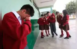 Minedu quiere que psicólogos que realizan Serums vayan a trabajar a colegios