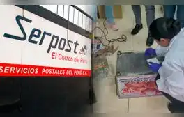 Desarticulan banda que enviaba droga en caja china con destino a Italia: incautación fue en Serpost
