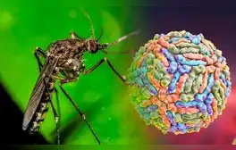 Este es el nuevo virus que amenaza Sudamérica debido al cambio climático: no es la viruela del mono