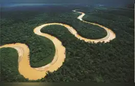 Senamhi advierte que el río Amazonas podría estar en emergencia por peligroso récord de 14 años