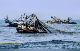 Denuncian que flotas chinas ilegales le cuesta US$300 millones al Perú