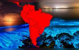 El único país de SUDAMÉRICA donde el MAR BRILLA y alberga una especie en peligro de extinción