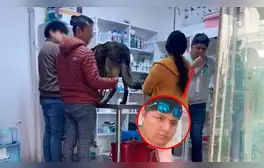 Falso veterinario, denunciado por negligencia, opera en San Martín de Porres