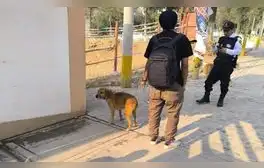 Denuncian tortura de perros en universidad de Huánuco: estudiantes de Veterinaria los utilizan para prácticas
