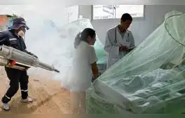 Casos de dengue en 2024 alcanzan el pico más alto de los 3 últimos años con más de 260.000 contagios
