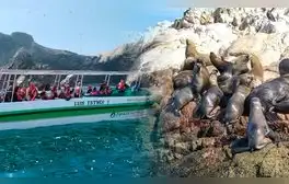 ¿Realmente fuiste a Islas Ballestas o era Isla Blanca? Cómo diferenciarlas y así evitar estafas durante tu viaje