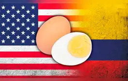 Colombiana es viral en TikTok al afirmar que el huevo es diferente al de Estados Unidos: "No saben a nada"