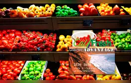 CalFresh en California 2024: estos son los residentes que recibirán $1.720 dólares en septiembre