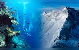 El país de Sudamérica con montañas submarinas que superarían el tamaño de la cordillera de los Andes