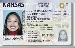 Ni VISA ni licencia de conducir: esta es la única tarjeta que debes usar para viajar en Estados Unidos en 2025