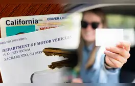 Estos son los documentos que los inmigrantes no pueden olvidar para solicitar una licencia de conducir en Illinois