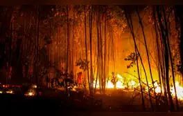 Se reportan en Ecuador al menos 12 incendios forestales en 7 provincias: “Concentraciones de partículas dañinas”