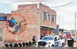 Perrito alerta a vecinos sobre el deceso de su dueño: adulto mayor muere al caer del tercer piso en Puno