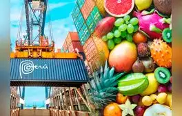 Estas son las 3 frutas ricas en vitaminas que lideran la agroexportación del Perú al mundo: superan las 100 mil toneladas