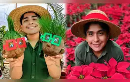 Mecánico de Senati dejó su trabajo para salvar plantas y ha rescatado más de 1.400 árboles en Lima: "Lo hago de corazón"