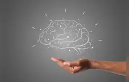Este es el mejor suplemento natural para mejorar la memoria, según Harvard: también previene el cáncer y Alzheimer
