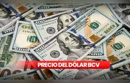 Precio del Dólar BCV y Dólar Paralelo HOY, domingo 15 de septiembre en Venezuela, vía Banco Central