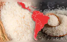 El país de América Latina que consume más arroz del mundo: superó como el más 'arrocero' a Perú y España