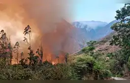 Bosques de Perú dañados por incendios forestales tardarían en restaurarse hasta 100 años