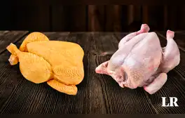 ¿Pollo amarillo o blanco?, ¿cuál es el más saludable? Esta es la principal diferencia